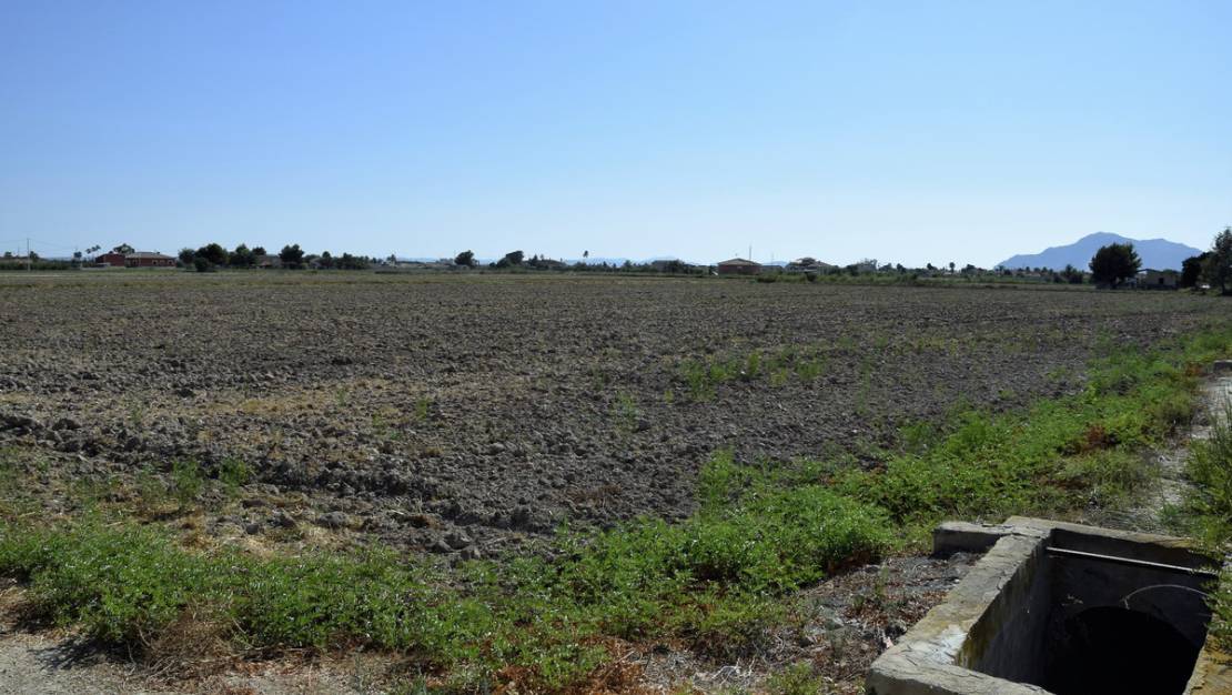 Venta - Land - Catral - Catral Centro