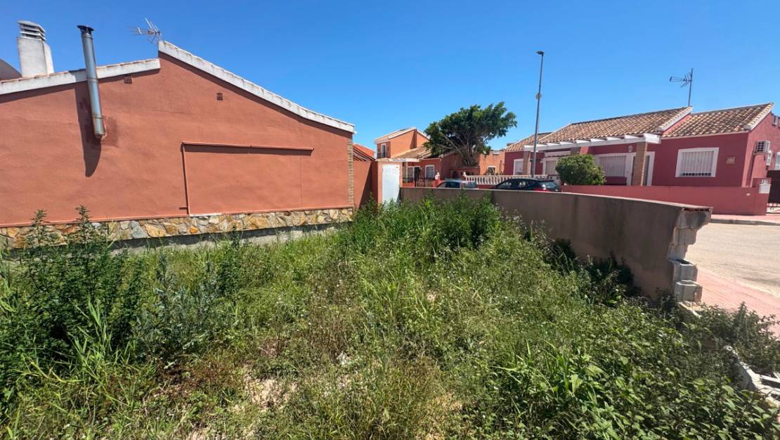 Venta - Land - Daya Nueva - Daya Nueva Centro