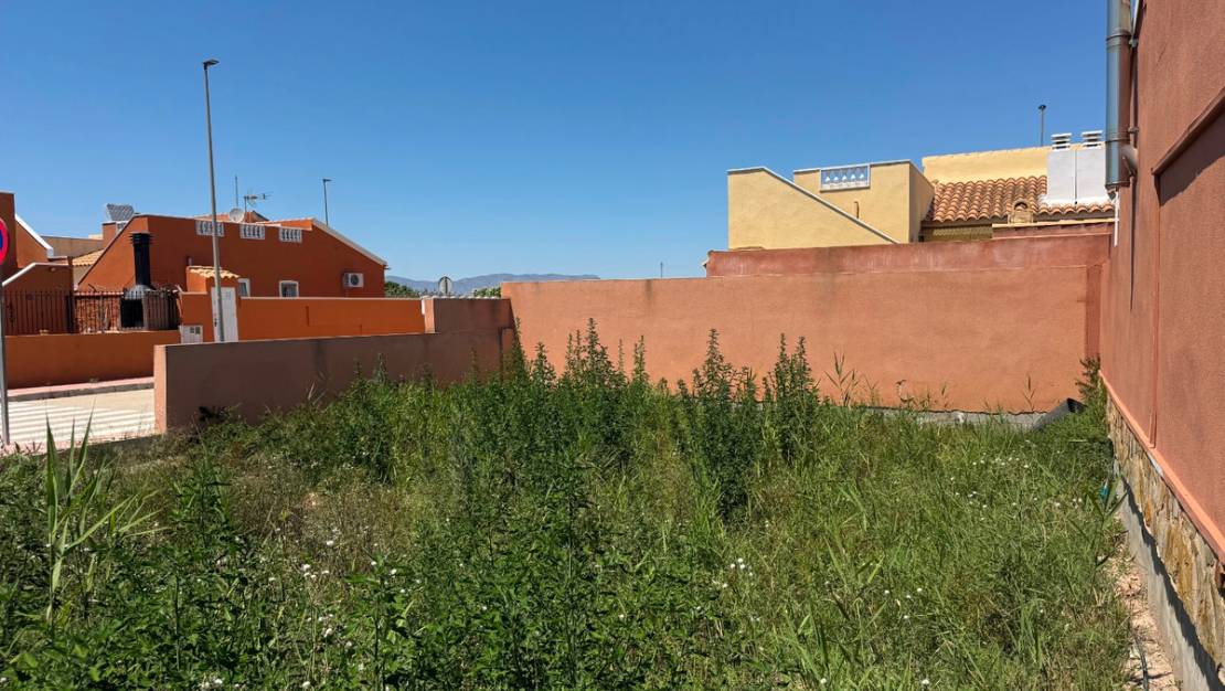 Venta - Land - Daya Nueva - Daya Nueva Centro