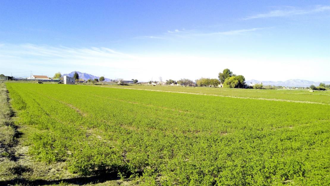 Venta - Land - Dolores - Dolores Centro