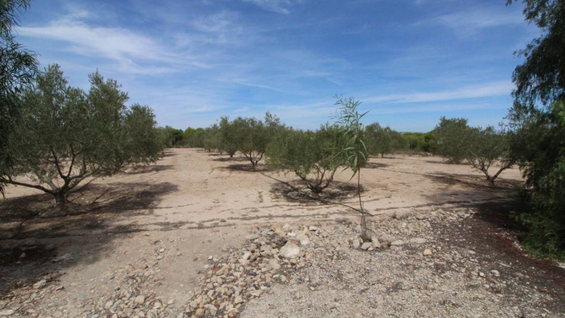 Venta - Land - Elche - Elche Centro