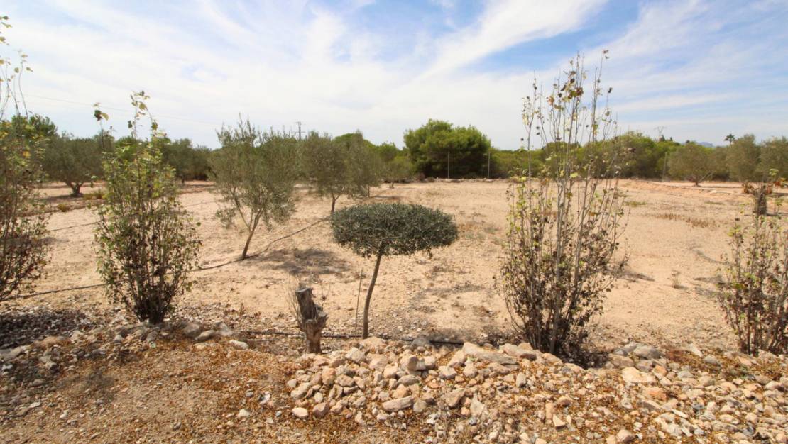 Venta - Land - Elche - Elche Centro