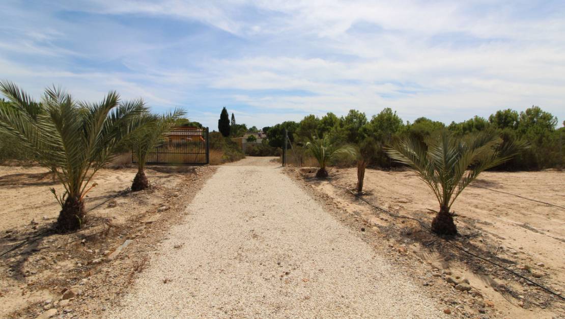 Venta - Land - Elche - Elche Centro