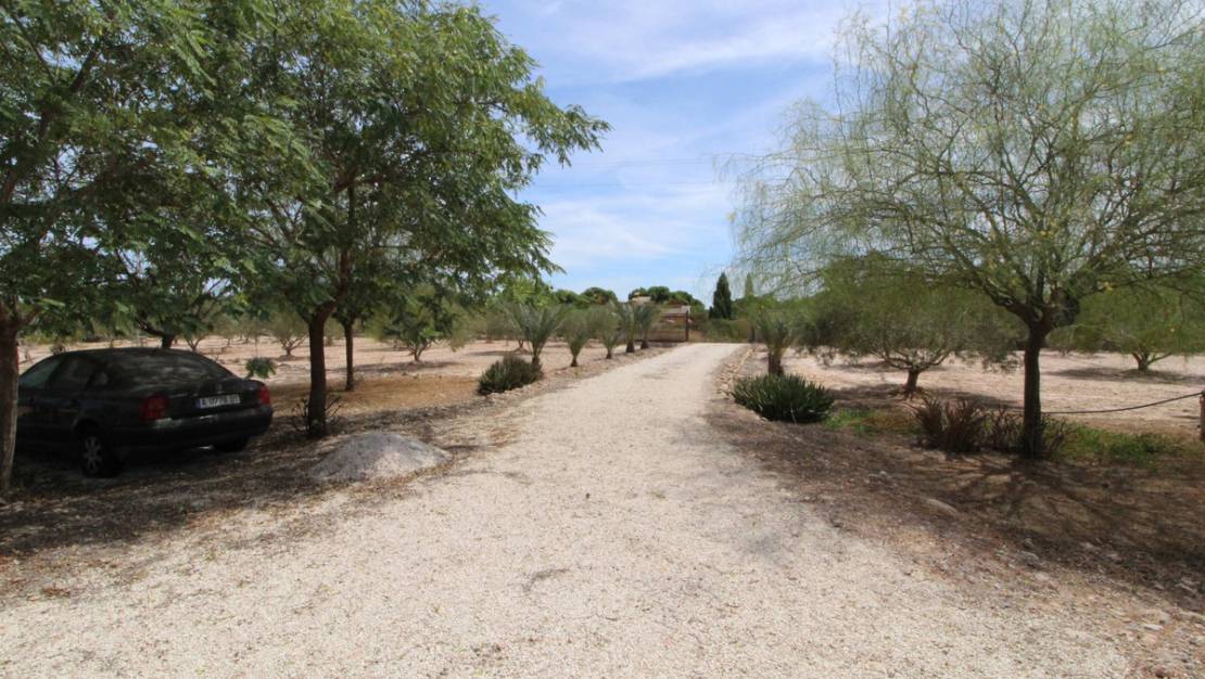 Venta - Land - Elche - Elche Centro