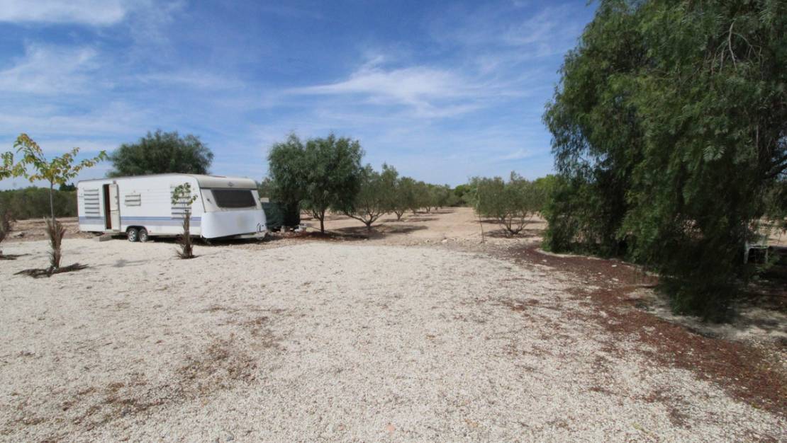 Venta - Land - Elche - Elche Centro