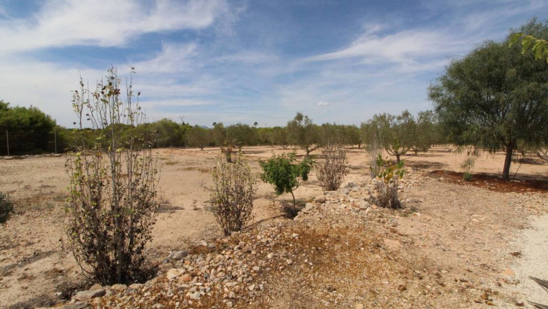 Venta - Land - Elche - Elche Centro