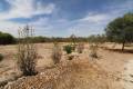 Venta - Land - Elche - Elche Centro