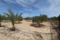 Venta - Land - Elche - Elche Centro