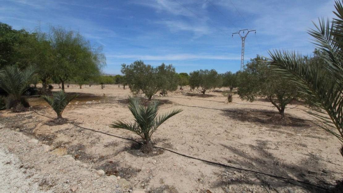 Venta - Land - Elche - Elche Centro