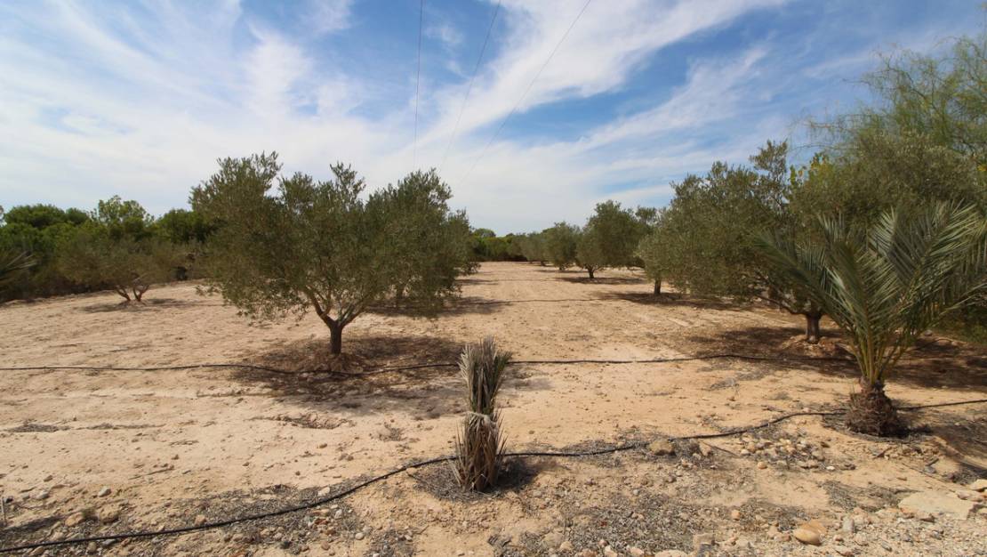Venta - Land - Elche - Elche Centro