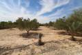 Venta - Land - Elche - Elche Centro