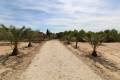 Venta - Land - Elche - Elche Centro