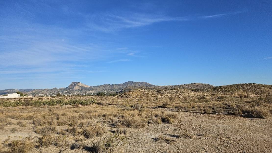 Venta - Land - Elda - Elda Centro