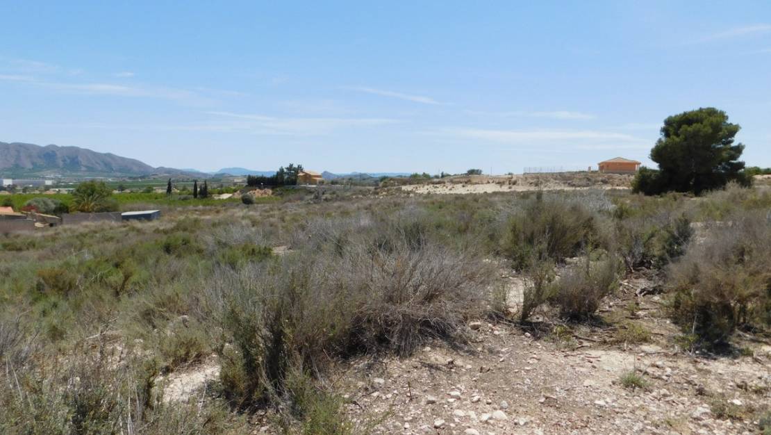 Venta - Land - Fortuna - Fortuna Centro