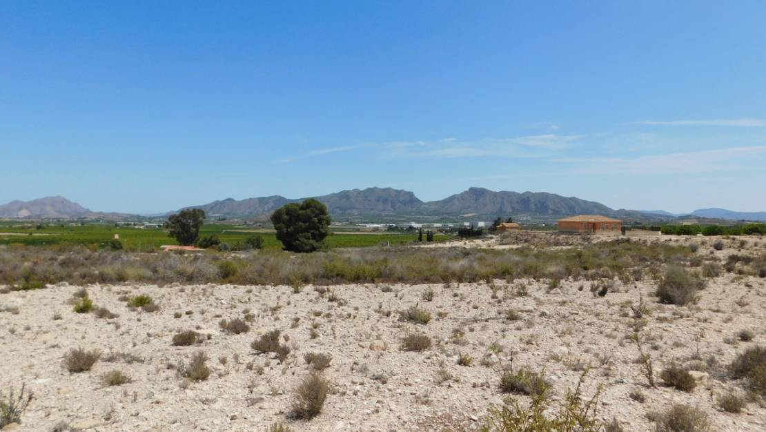 Venta - Land - Fortuna - Fortuna Centro