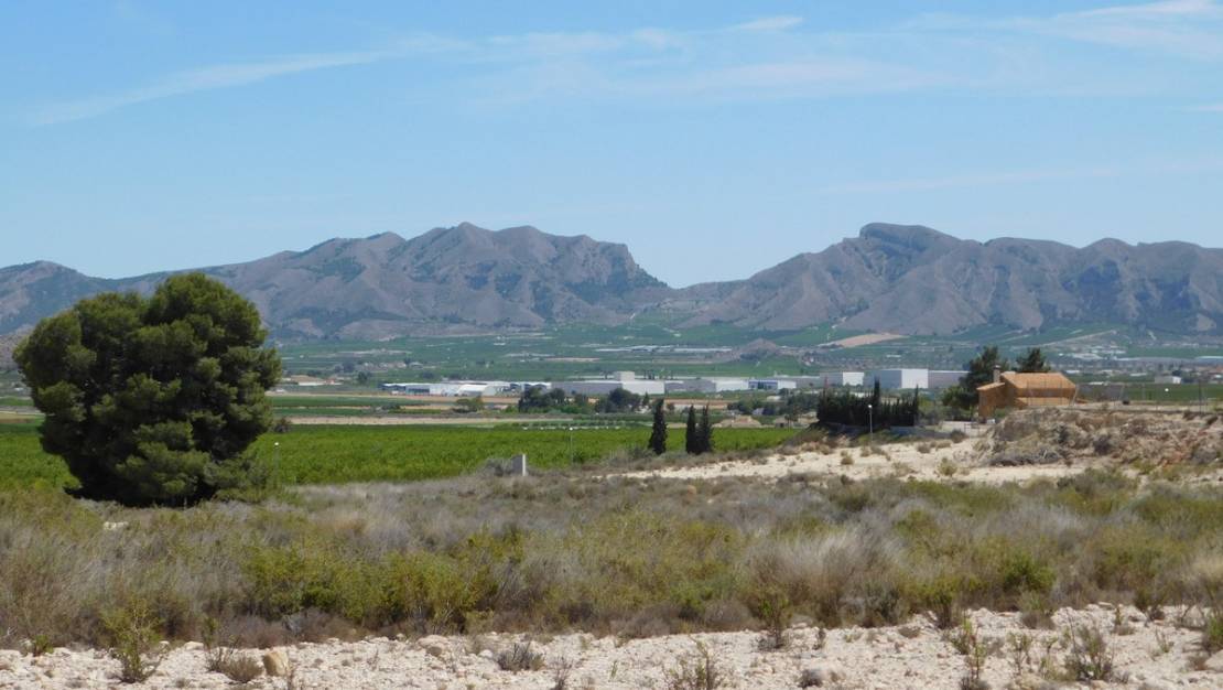 Venta - Land - Fortuna - Fortuna Centro