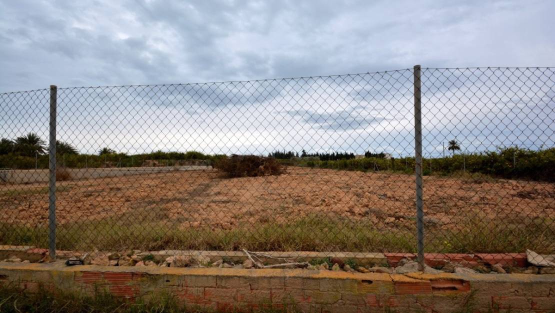 Venta - Land - Guardamar del Segura - Guardamar del Segura Centro
