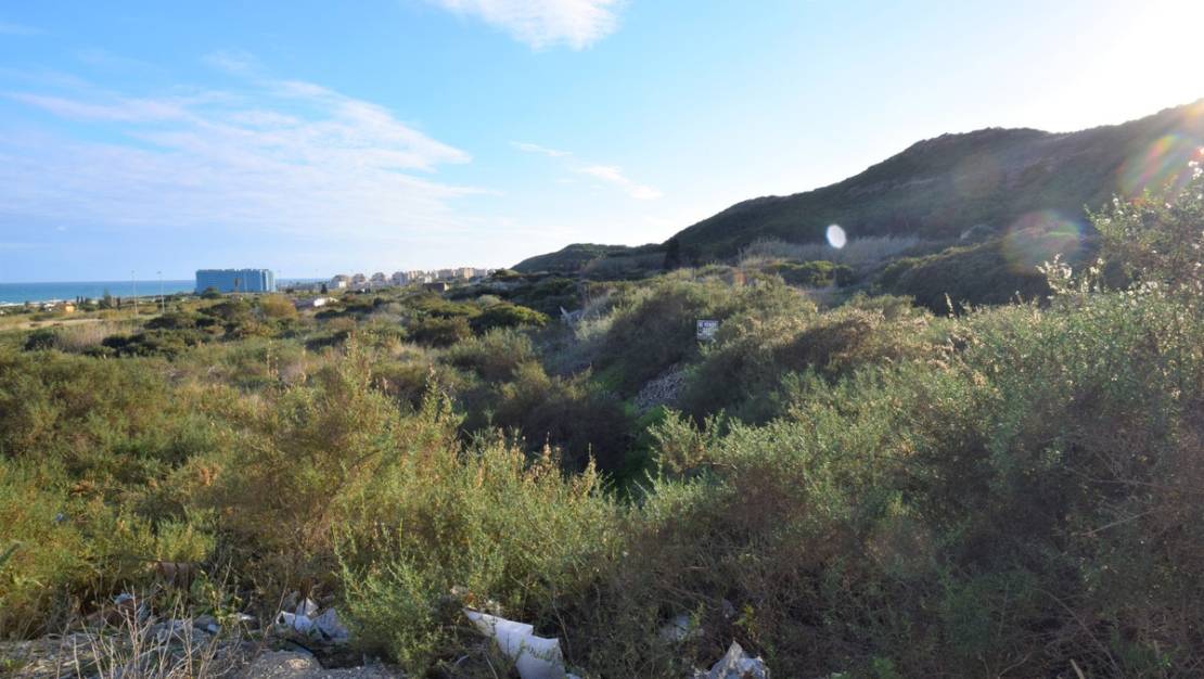 Venta - Land - Guardamar del Segura - Guardamar del Segura Centro