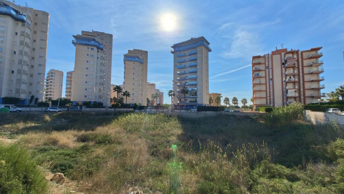 Venta - Land - Guardamar del Segura - Guardamar del Segura Centro