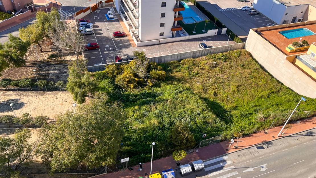 Venta - Land - Guardamar del Segura - Guardamar del Segura Centro