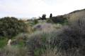 Venta - Land - Guardamar del Segura - Guardamar del Segura Centro