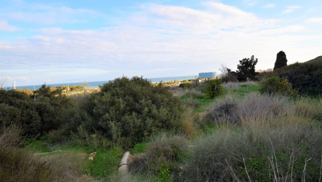 Venta - Land - Guardamar del Segura - Guardamar del Segura Centro