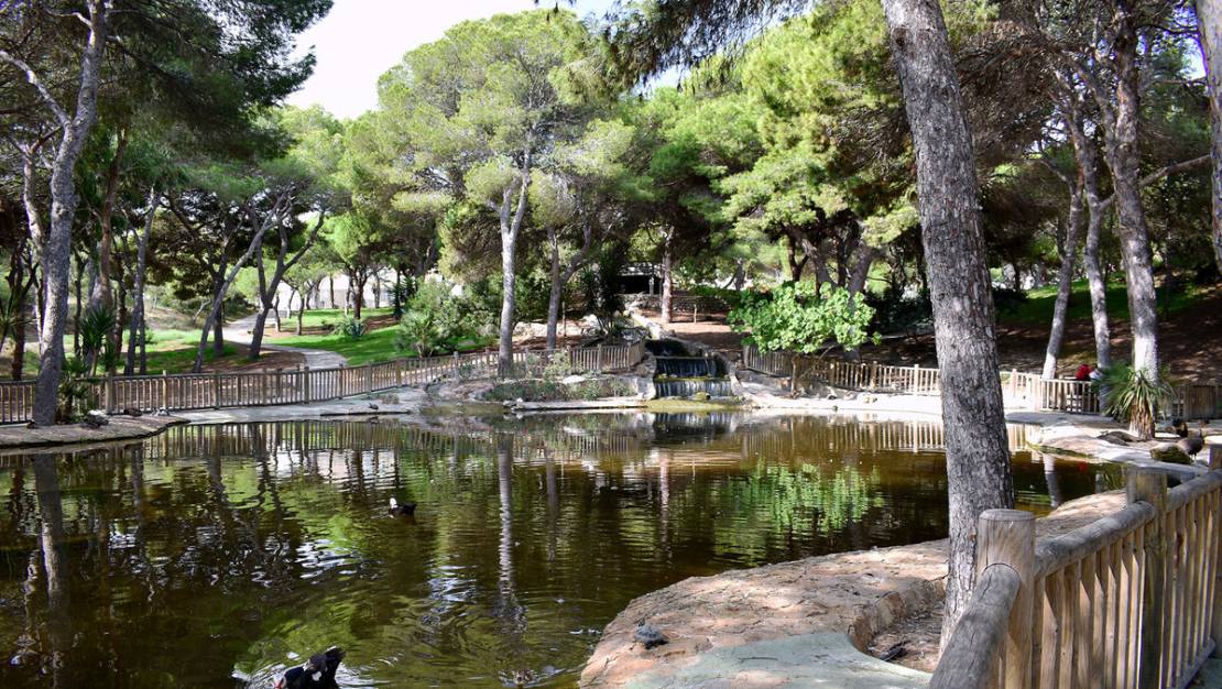 Venta - Land - Guardamar del Segura - Guardamar del Segura Centro
