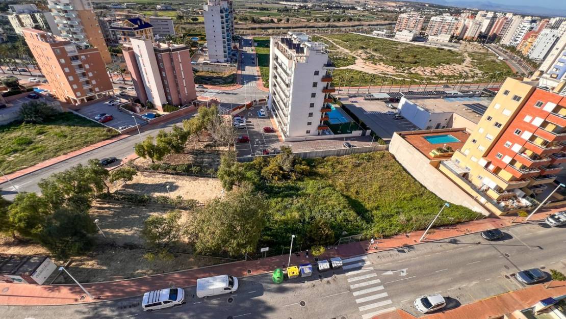 Venta - Land - Guardamar del Segura - Guardamar del Segura Centro