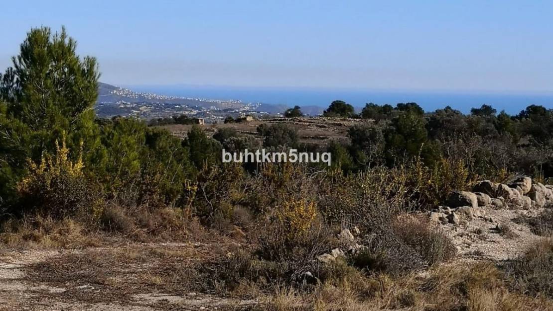 Venta - Land - Jalón - Bernia