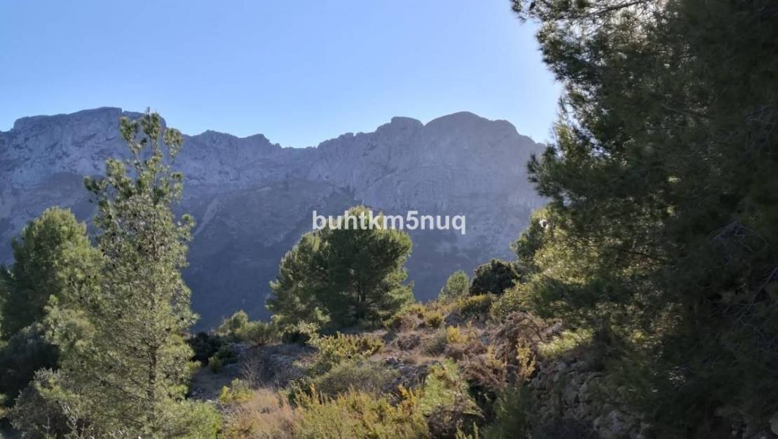 Venta - Land - Jalón - Bernia