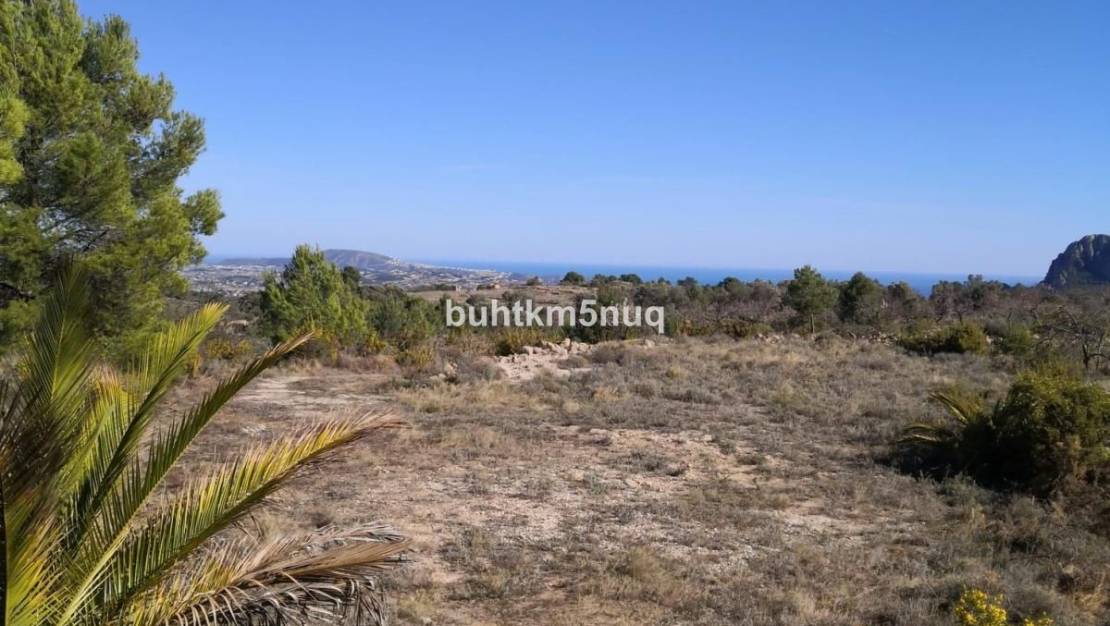 Venta - Land - Jalón - Bernia