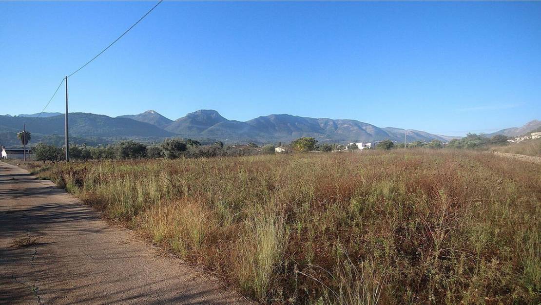 Venta - Land - Jalón - Jalon Centro