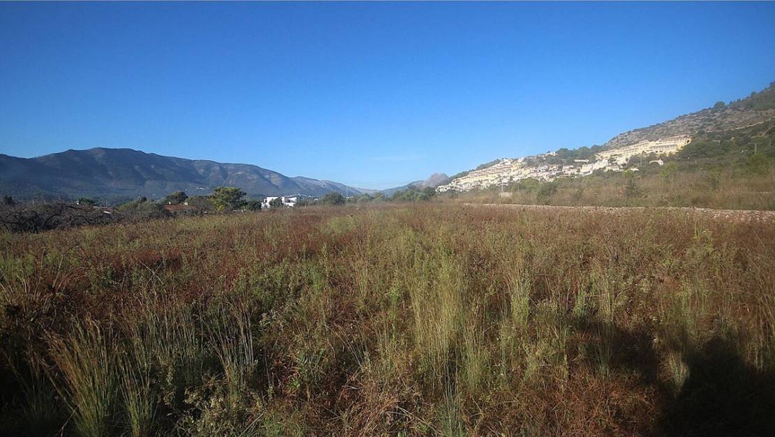 Venta - Land - Jalón - Jalon Centro