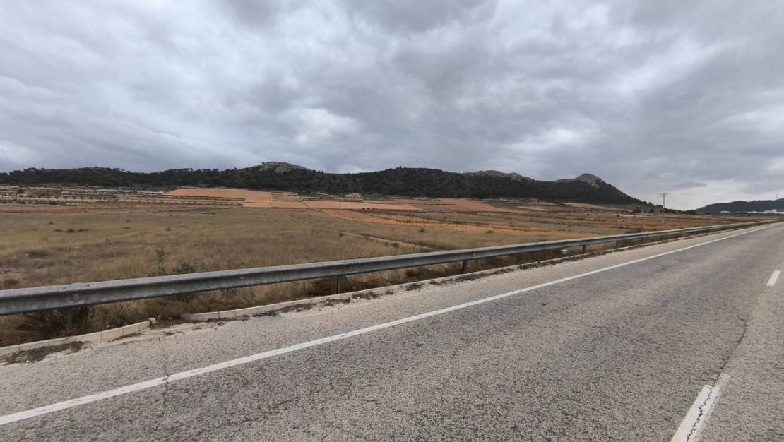 Venta - Land - Jalón - La Solana