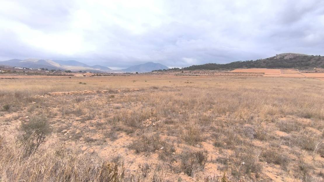 Venta - Land - Jalón - La Solana