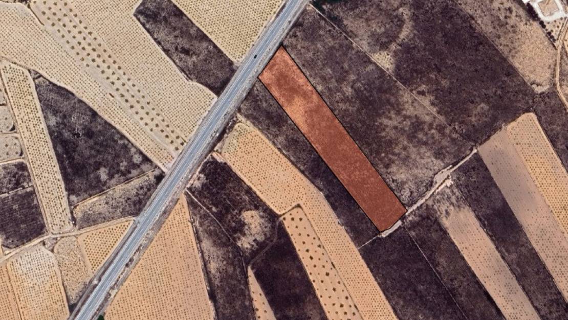 Venta - Land - Jalón - La Solana