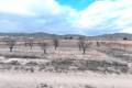 Venta - Land - Jalón - La Solana
