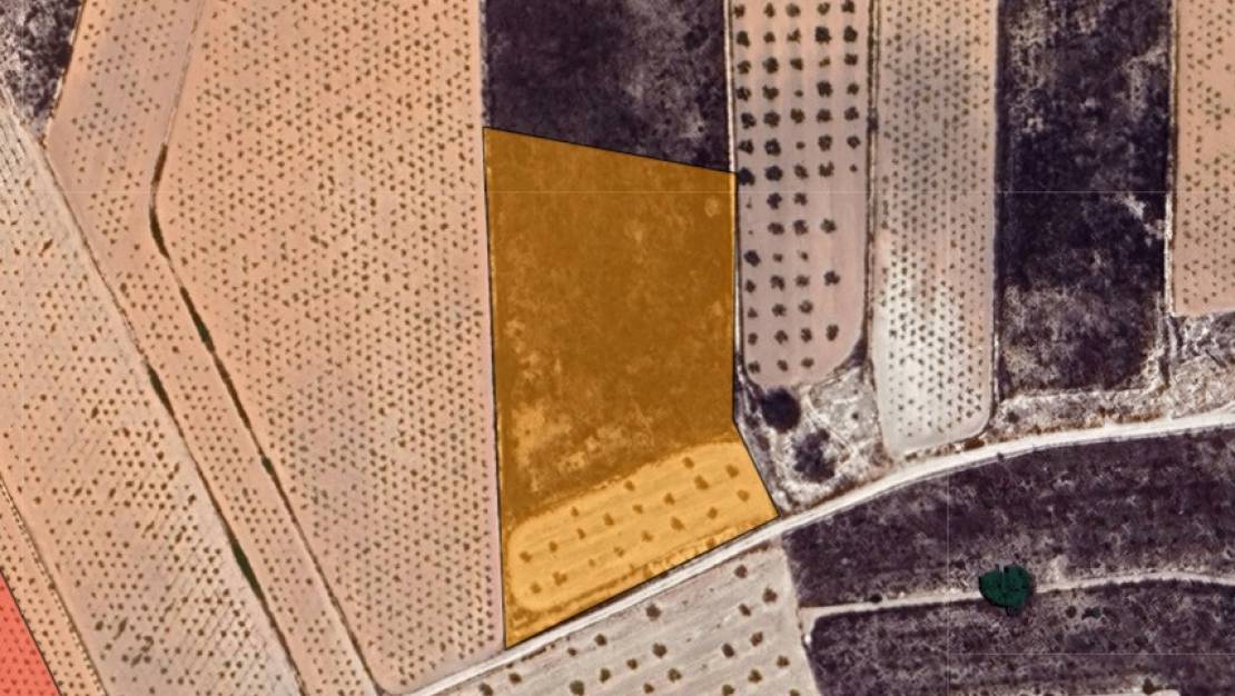 Venta - Land - Jalón - La Solana