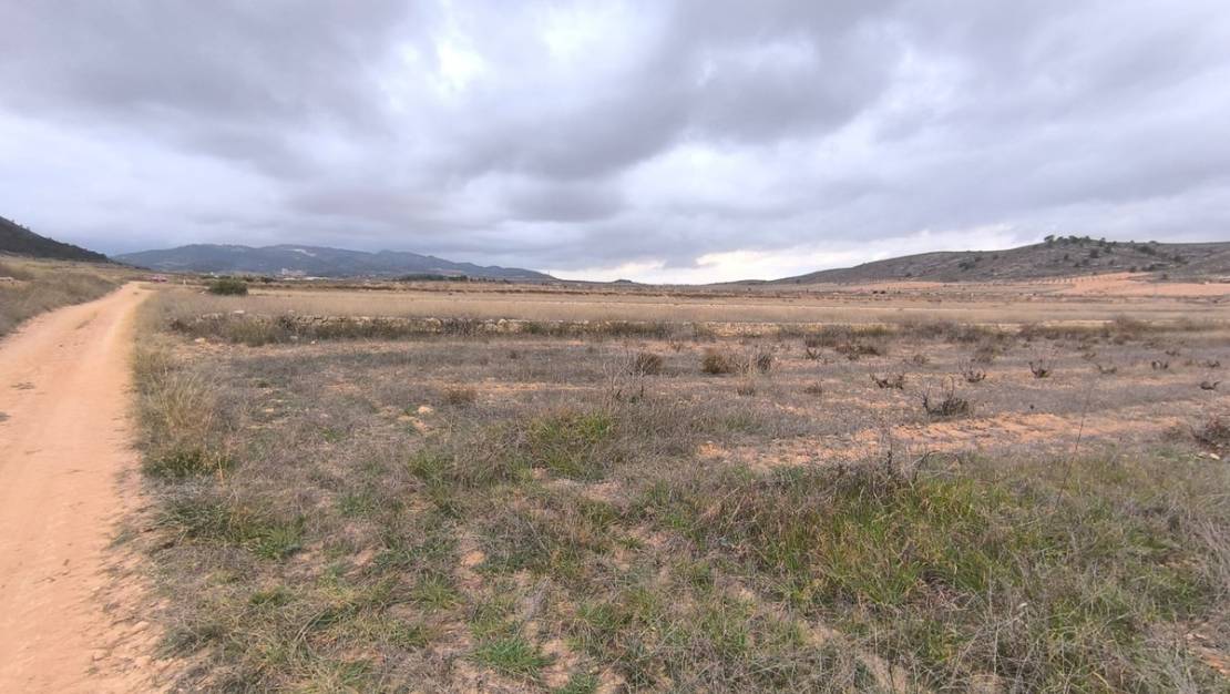 Venta - Land - Jalón - La Solana
