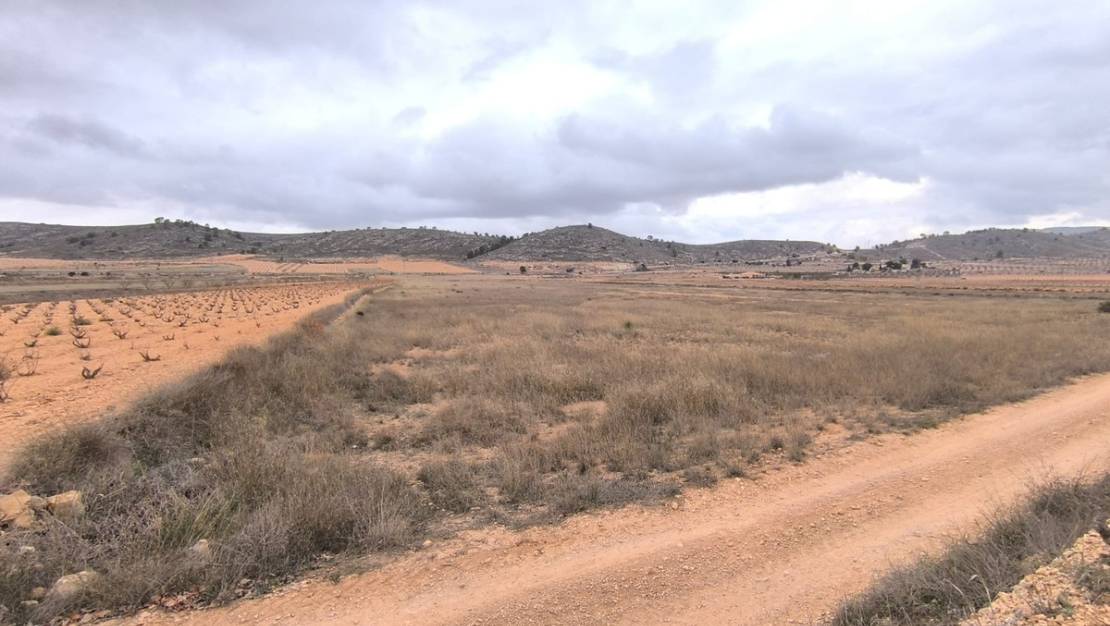 Venta - Land - Jalón - La Solana