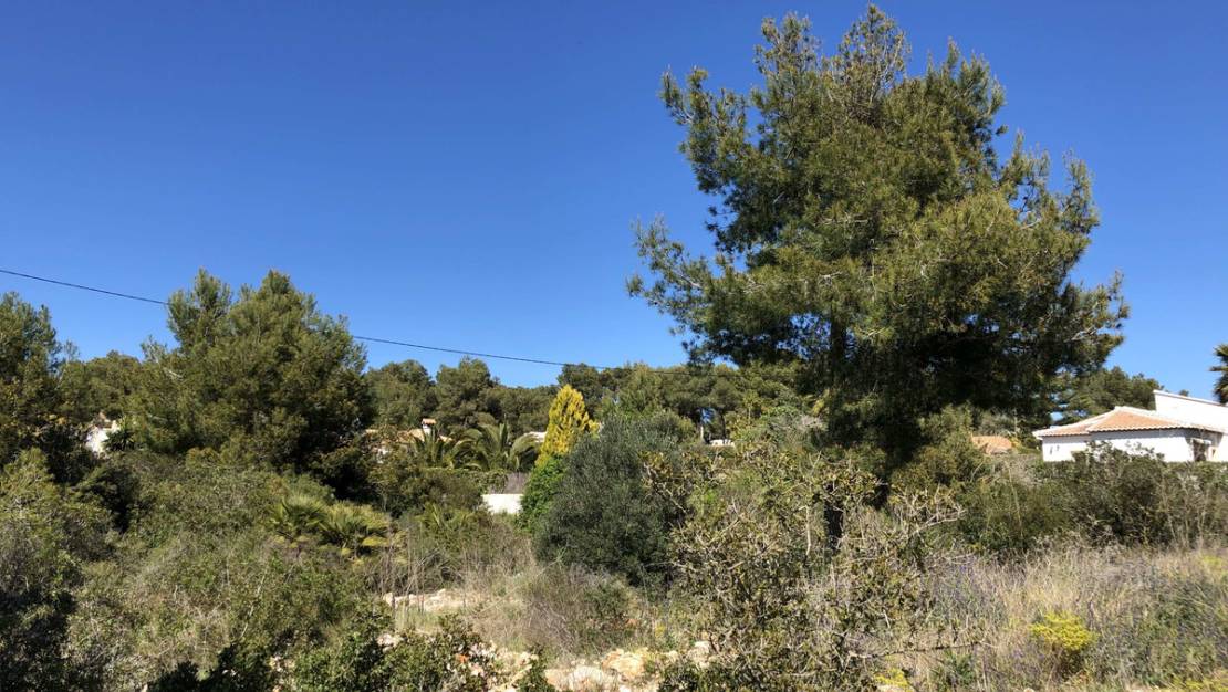 Venta - Land - Jávea - Xàbia - Jávea - Xàbia Centro