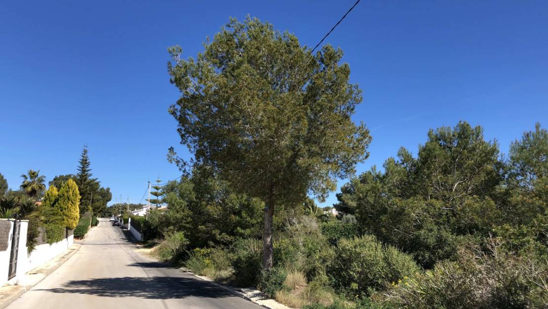 Venta - Land - Jávea - Xàbia - Jávea - Xàbia Centro