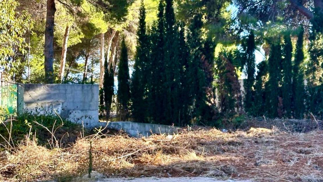 Venta - Land - Jávea - Xàbia - Jávea - Xàbia Centro