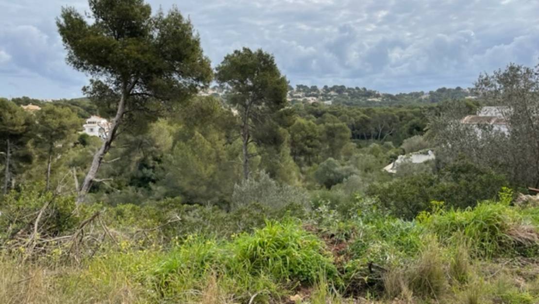 Venta - Land - Jávea - Xàbia - Jávea - Xàbia Centro