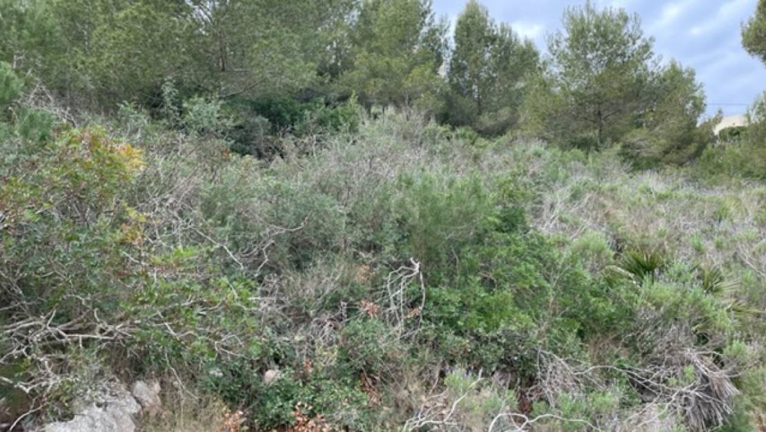 Venta - Land - Jávea - Xàbia - Jávea - Xàbia Centro