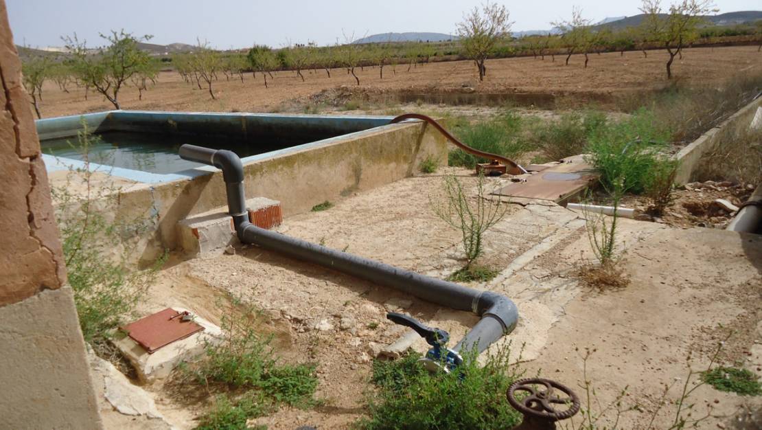 Venta - Land - Jumilla - Cañada del Trigo