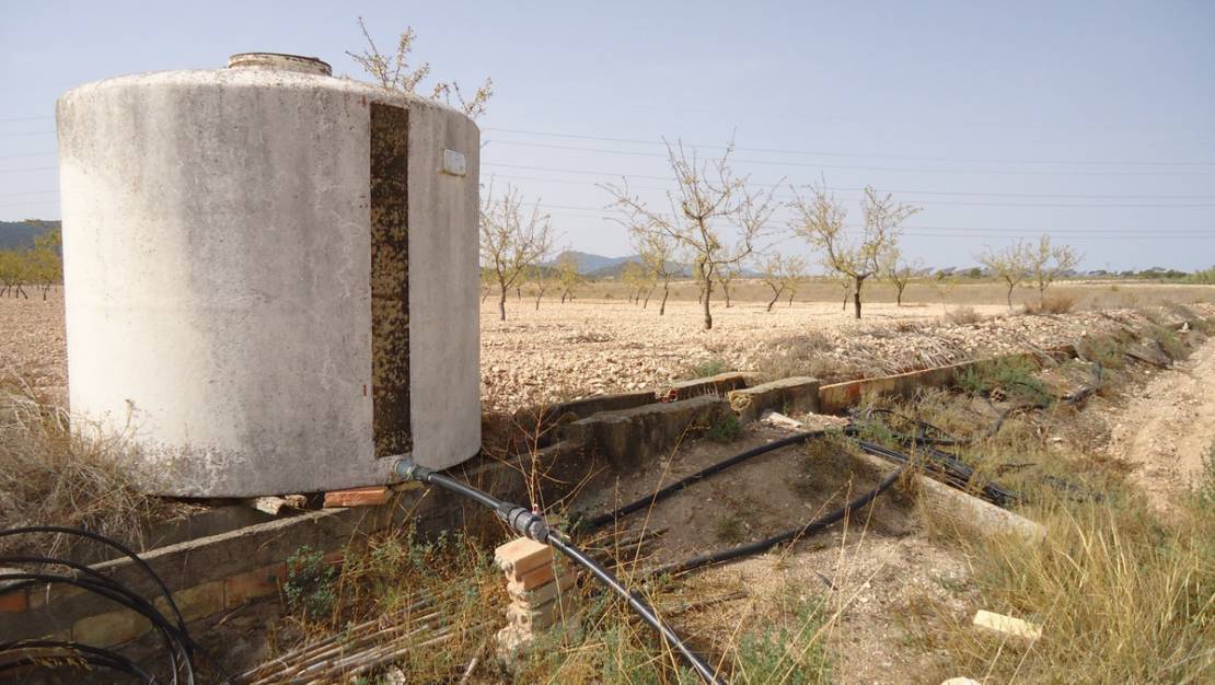 Venta - Land - Jumilla - Cañada del Trigo