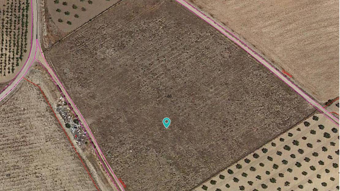 Venta - Land - Jumilla - Cañada del Trigo