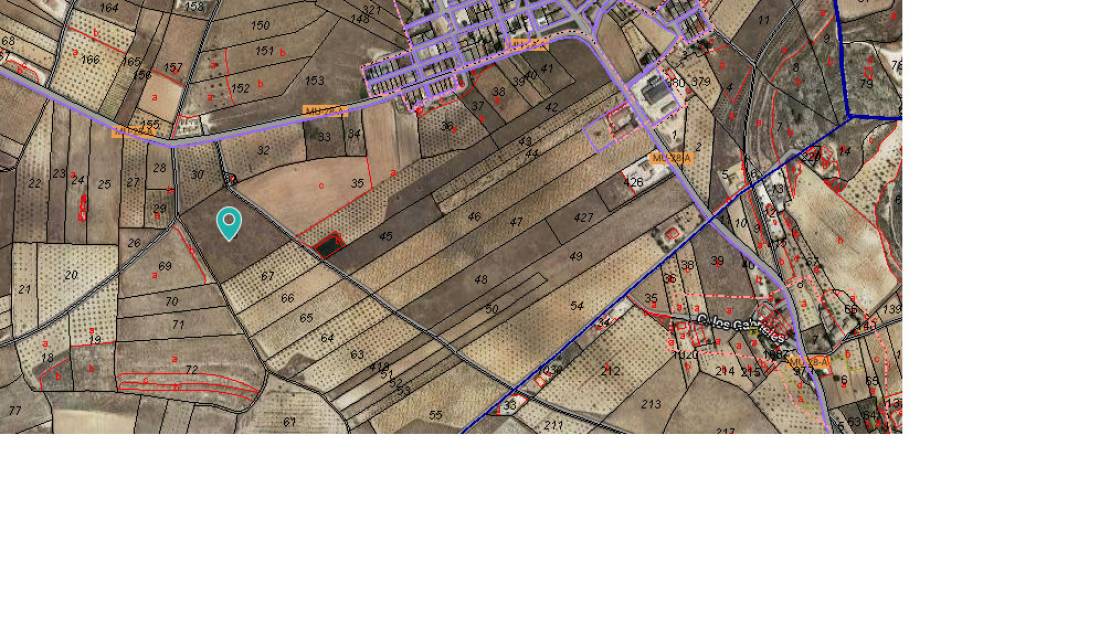 Venta - Land - Jumilla - Cañada del Trigo