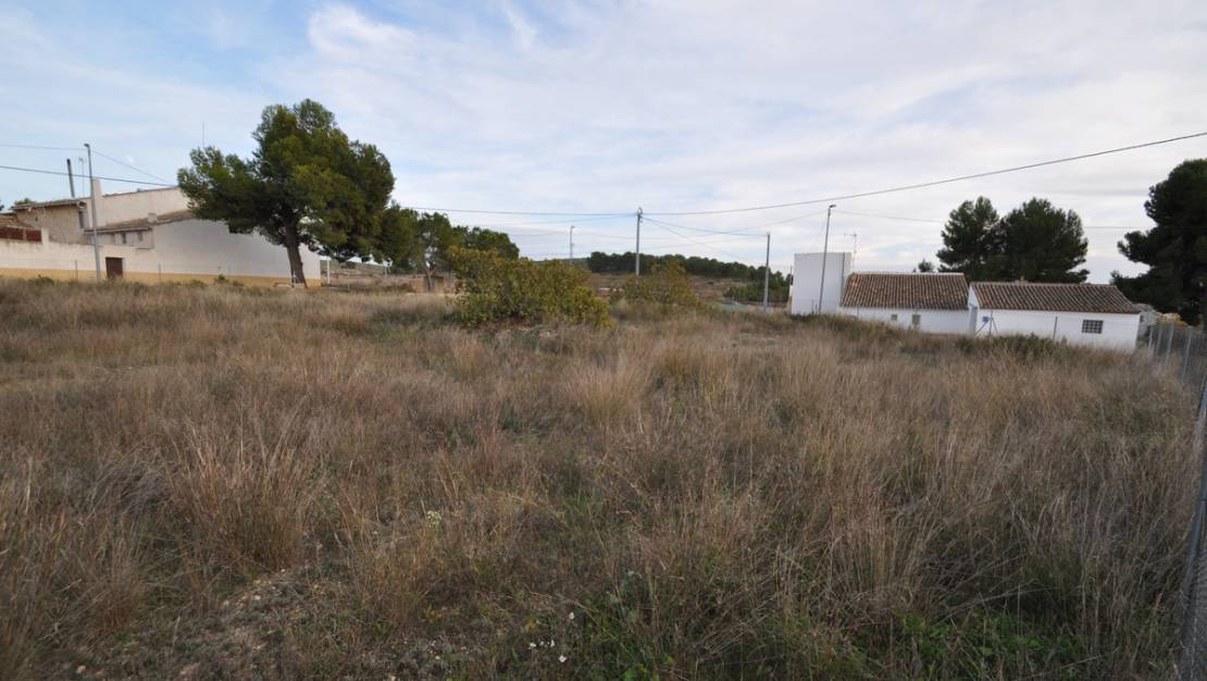 Venta - Land - Jumilla - Cañada del Trigo